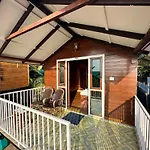 New Common Home